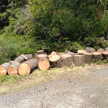 Northern Craft Tree Solutions - Tree Services Near Me