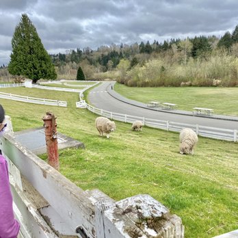 Kelsey Creek Farm Park - Venues & Event Spaces Near Me - Bellevue, Washington