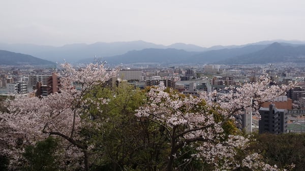 Atago Shrine by null