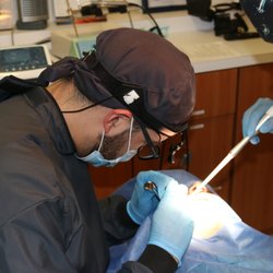 Odontología Integral de México, Bajadentistry