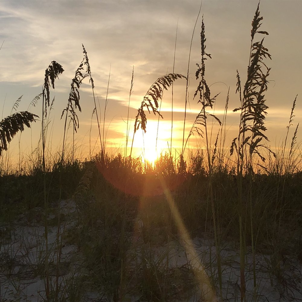 Perdido Key State Park - Parks Near Me - Pensacola, Florida Perdido Key State Park - Parks Near Me - Pensacola, Florida