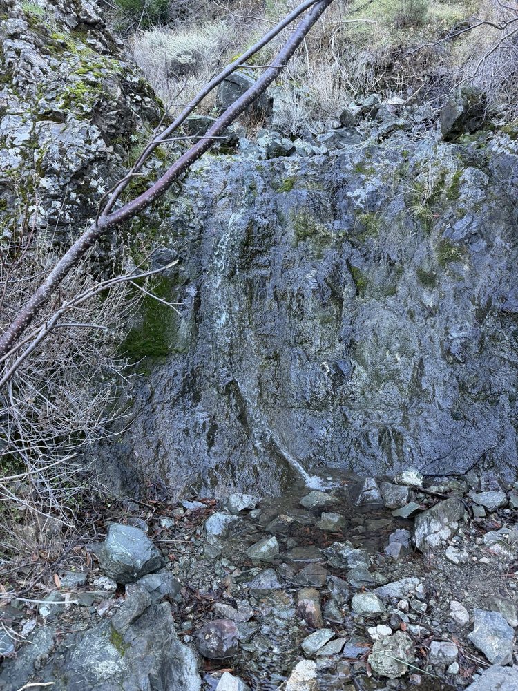 Waterfall Loop at Mount Diablo State Park Logo