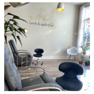 lark & sparrow by null