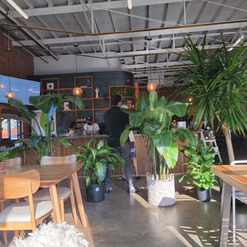 Brass Tacks - Main counter - Coffee & Tea Near Me - Houston, Texas