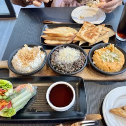 Seva Kitchen & Bar - Vegetable spring roll and trio of dips with pita and crostini bread.
