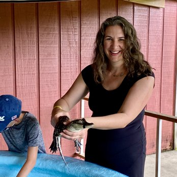 Insta-Gator Ranch & Hatchery - Well worth the extra fee to hold your own gator. half the fun is catching them yourselves. - Tours Near Me - Covington, Louisiana