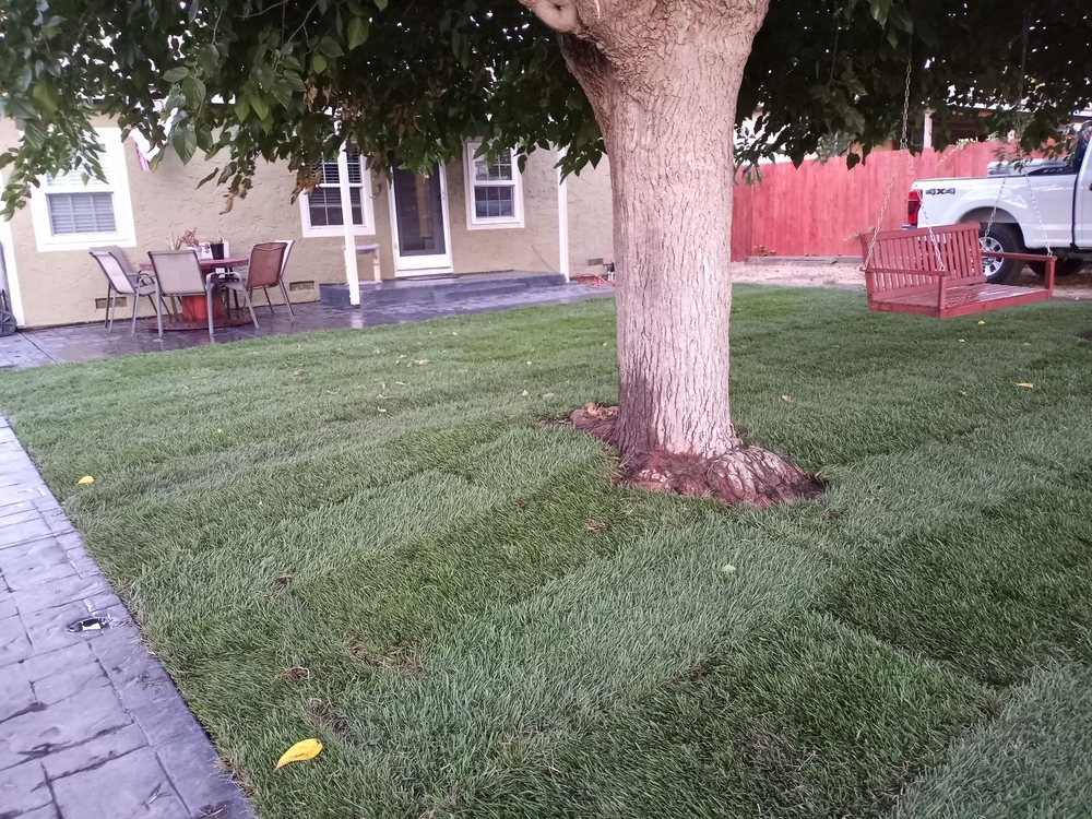 WATERSAVERS IRRIGATION Updated July 2024 17 Photos & 13 Reviews