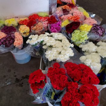 G & J Flower SA - Carnations - Wholesale Stores Near Me - Santa Ana, California G & J Flower SA - Carnations - Wholesale Stores Near Me - Santa Ana, California