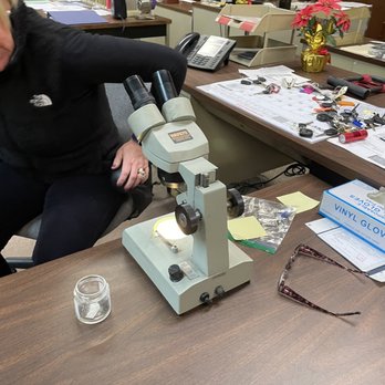 Humphreys Pest Control - Examining a specimen I brought in - Pest Control Near Me - Glenside, Pennsylvania Humphreys Pest Control - Examining a specimen I brought in - Pest Control Near Me - Glenside, Pennsylvania