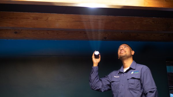 Partner with the highest ranked Pest Control company in AZ. - Pest Friends offers environmentally sound solutions to all of your pest, rodent, and termite challenges. Our treatments are effective and safe for your family and pets. Call us today for a free inspection. Partner with the highest ranked Pest Control company in AZ. - Pest Friends offers environmentally sound solutions to all of your pest, rodent, and termite challenges. Our treatments are effective and safe for your family and pets. Call us today for a free inspection.