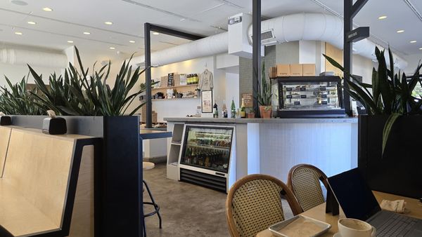 Black Bean Deli-WP by null