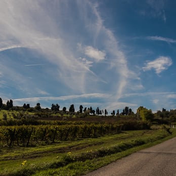 Tuscany Cycle - Tuscany vespa tour - Tours Near Me - Florence, FI