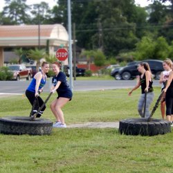 Loganitus Training