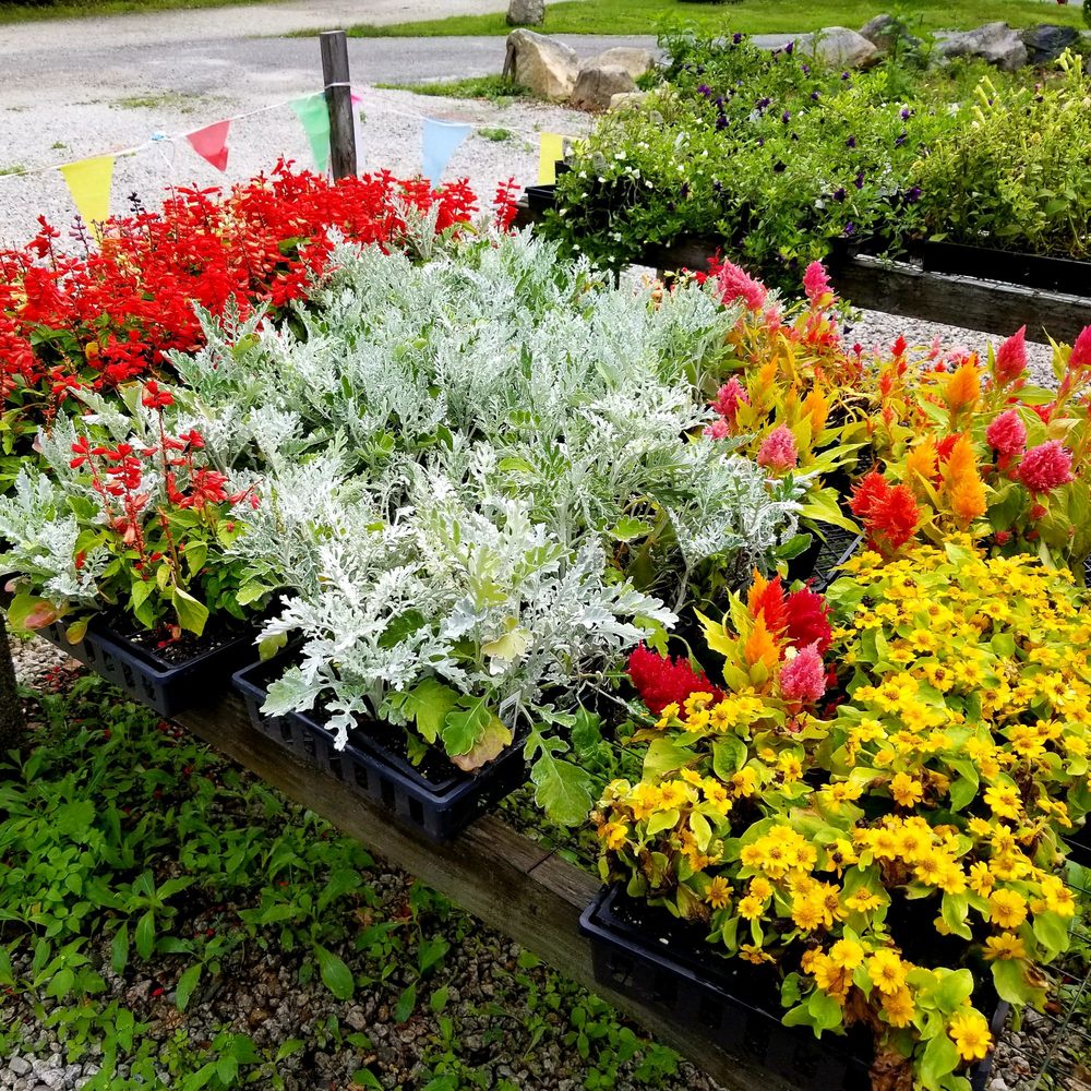 HELGER’S GREENHOUSE Updated October 2024 578 Lake Rd, Tiverton