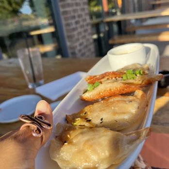 Spice Asian Kitchen - dumplings - Asian Fusion Near Me - Fort Mill, South Carolina Spice Asian Kitchen - dumplings - Asian Fusion Near Me - Fort Mill, South Carolina