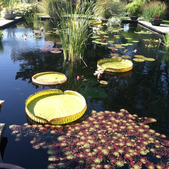 The Cafe at Wave Hill - Aquatic Garden - Venues & Event Spaces Near Me - Bronx, New York The Cafe at Wave Hill - Aquatic Garden - Venues & Event Spaces Near Me - Bronx, New York