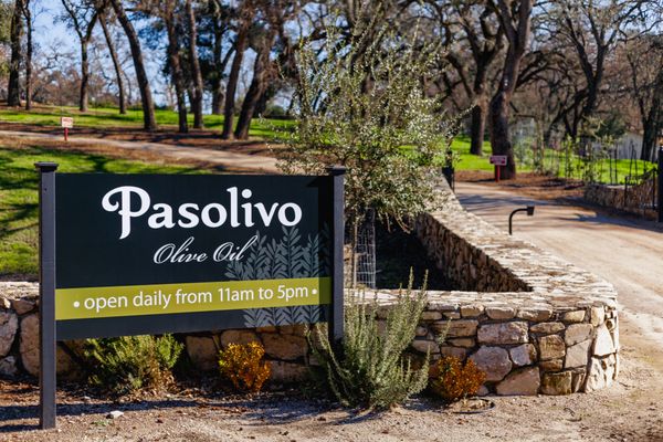 Pasolivo Olive Oil by null