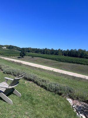 Brengman Family Wines by null