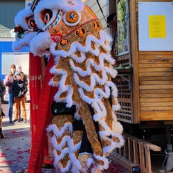Mama Chow's Kitchen - Grand re-opening with Lunar Year year celebration