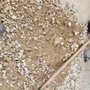 Photo of SiteOne Landscape Supply