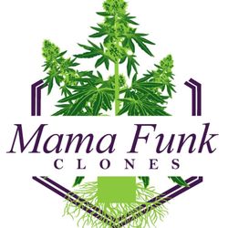 Mama Funk Clones - We Grow Better Together