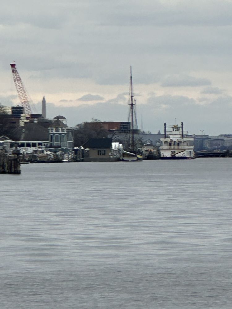 MINT HOUSE ALEXANDRIA OLD TOWN Updated May 2024 750 Thornton Way