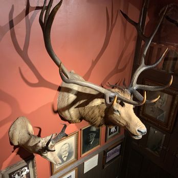 Buckhorn Exchange - I'm sure he was a tasty critter - Steakhouses Near Me - Denver, Colorado