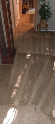 carpet steam cleaning - Here are some before and after carpet steaming. carpet steam cleaning - Here are some before and after carpet steaming.