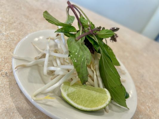 PHO - VISTA by null