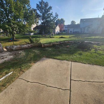 Juniors Tree Service - Tree Services Near Me Juniors Tree Service - Tree Services Near Me