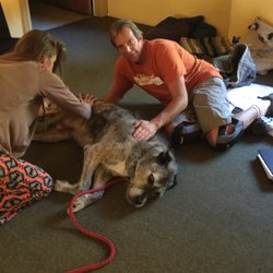 Ojai School of Canine Massage