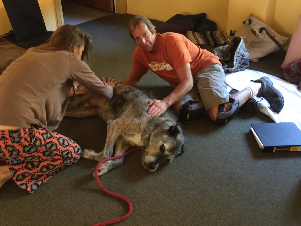 OJAI SCHOOL OF CANINE MASSAGE Updated April 2026 Ojai, California