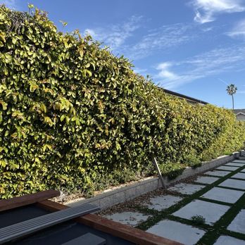 Cali Shine Construction - Before - Demolition Services Near Me - Glendora, California Cali Shine Construction - Before - Demolition Services Near Me - Glendora, California