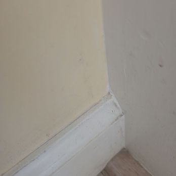 Tiger Cleaning Services - Home Cleaning Near Me Tiger Cleaning Services - Home Cleaning Near Me