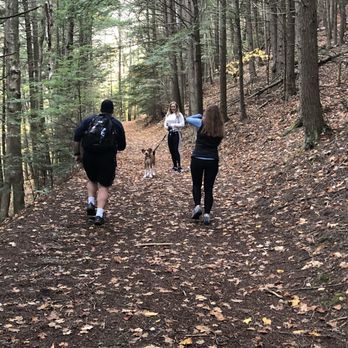 Mt. Ascutney State Park - Parks Near Me - Windsor, Vermont