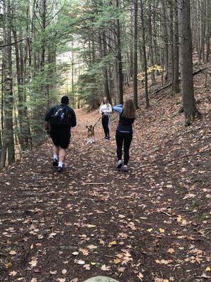 Mt Ascutney by null