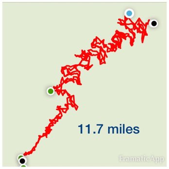 Mount Baden-Powell Trail - Hiking Near Me