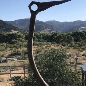 Ostrichland USA - Metal ostrich statue. - Attraction Farms Near Me - Solvang, California Ostrichland USA - Metal ostrich statue. - Attraction Farms Near Me - Solvang, California