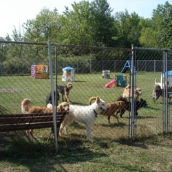 Connecticut K-9 Education Center - Our outside area for Doggy Daycare