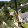 Photo of Darrin Tree removal