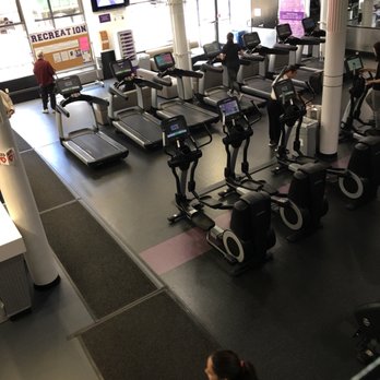 NYU Athletics - Sports Clubs Near Me - New York, New York NYU Athletics - Sports Clubs Near Me - New York, New York