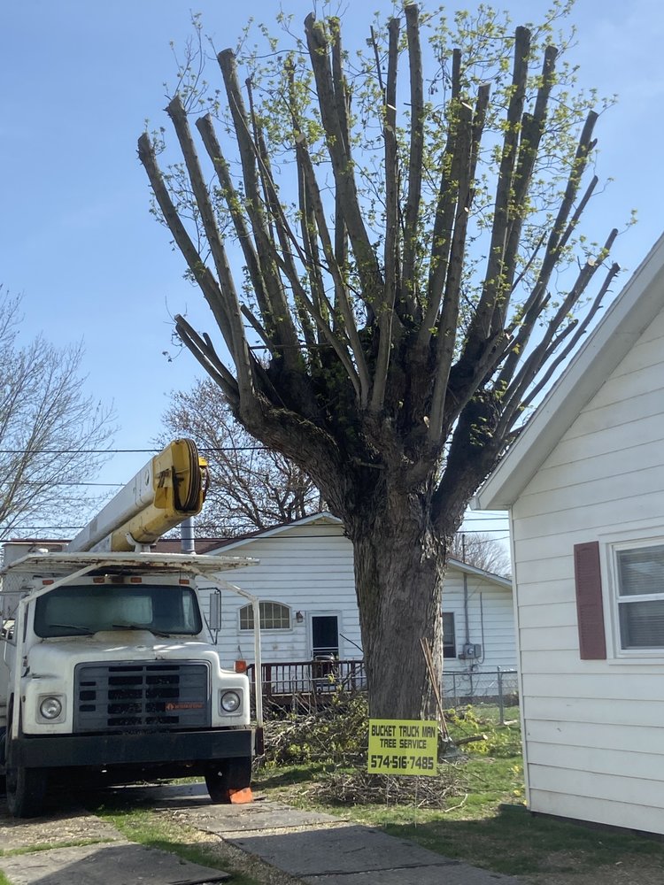 THE BUCKET TRUCK MAN Updated September 2024 Request a Quote Royal