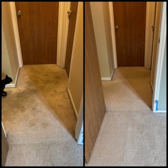 HutchPro Carpet Cleaning Plus - The lighting is a bit better in this portion of the hallway due to a window. Just Look! SO CLEAN! - Carpet Cleaning Near Me - Indianapolis , Indiana