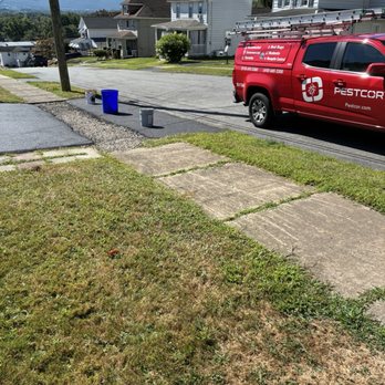Pestcor - Bad parking - Pest Control Near Me - Wyoming, Pennsylvania