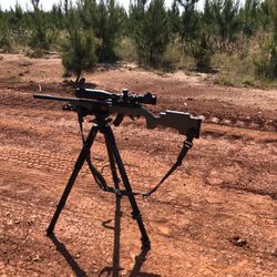 Dixie Ammo Dump - Time with the 22 at the 200yd line