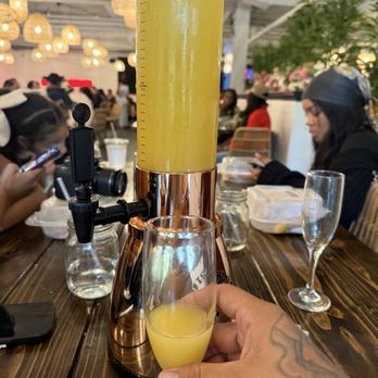 South House Garden - Mimosa Full Tower - Pizza Near Me - Gaithersburg, Maryland South House Garden - Mimosa Full Tower - Pizza Near Me - Gaithersburg, Maryland