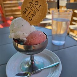 Lemon mint ice sorbet is awesome