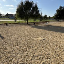 Franich Dog Park