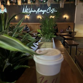 Wild - Coffee & Tea Near Me - Houston, Texas Wild - Coffee & Tea Near Me - Houston, Texas