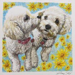 Fife Studios - Watercolor of brother and sister poodles